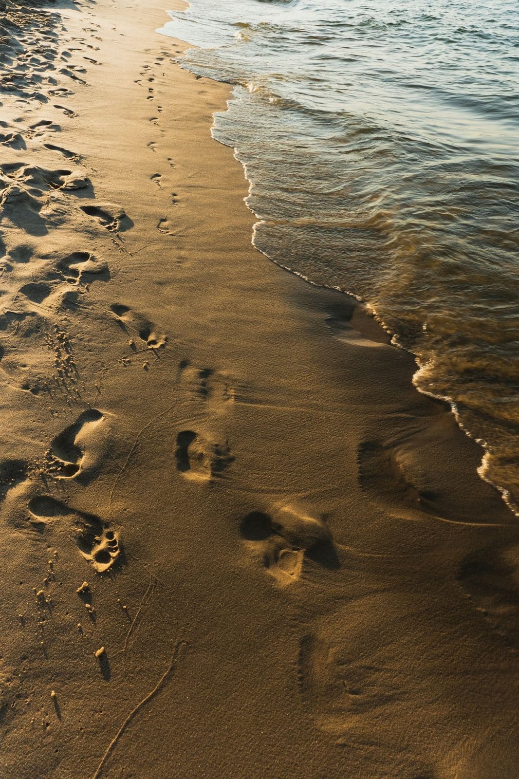 Footprints along the waterline on a sandy beach