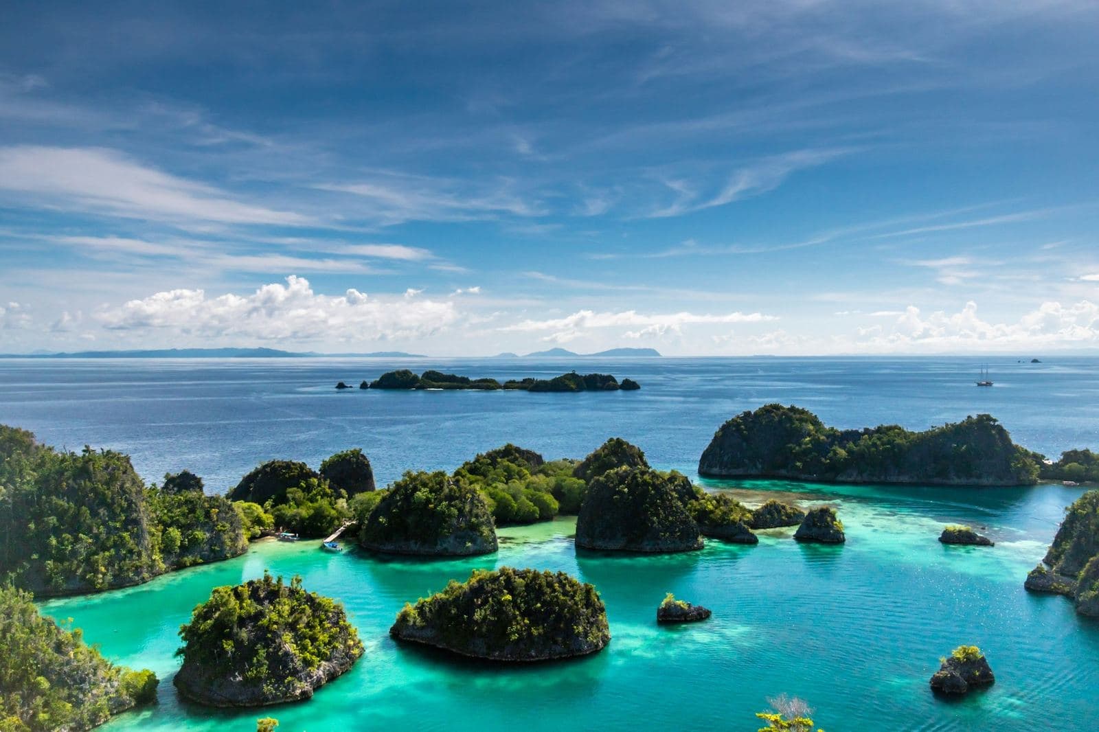 Karst islands rising from turquoise water in Raja Ampat