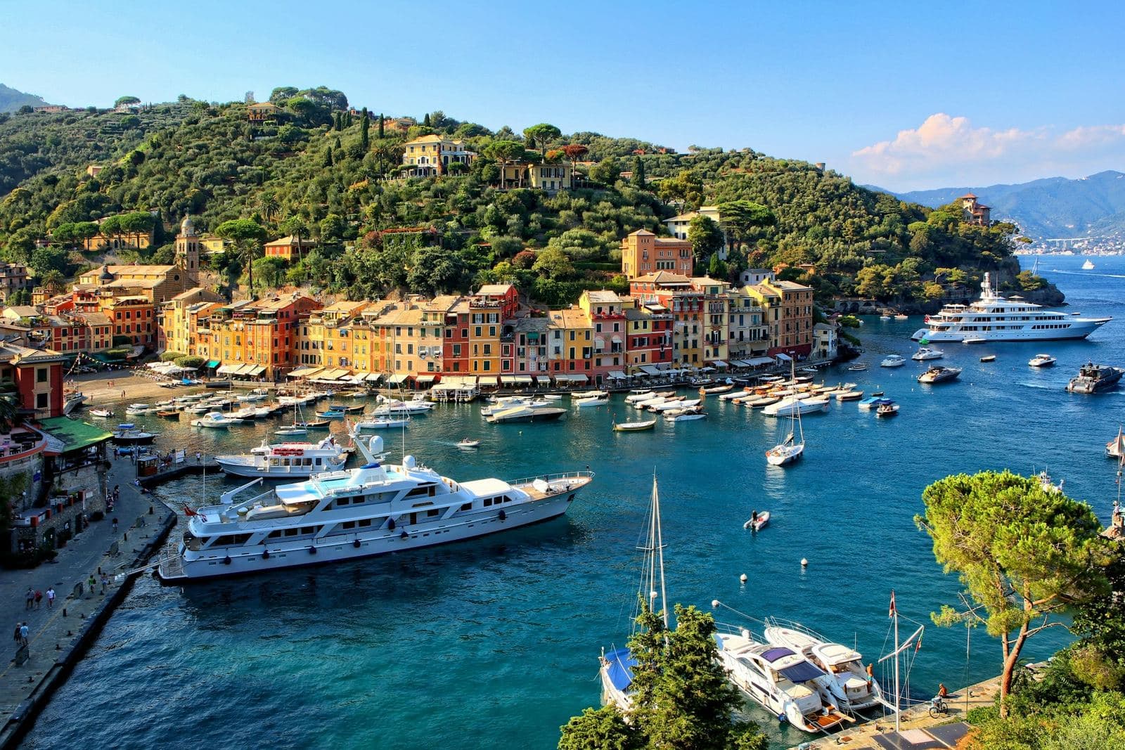 Yachts in Portofino harbor beneath wooded hills